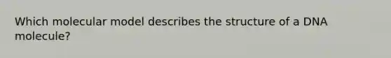 Which molecular model describes the structure of a DNA molecule?