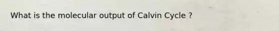 What is the molecular output of Calvin Cycle ?