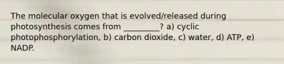 The molecular oxygen that is evolved/released during photosynthesis comes from _________? a) cyclic photophosphorylation, b) carbon dioxide, c) water, d) ATP, e) NADP.