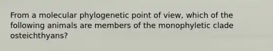 From a molecular phylogenetic point of view, which of the following animals are members of the monophyletic clade osteichthyans?