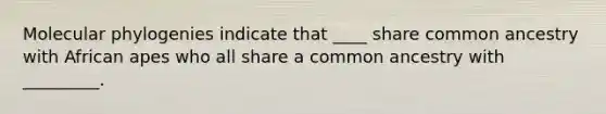 Molecular phylogenies indicate that ____ share common ancestry with African apes who all share a common ancestry with _________.