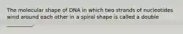 The molecular shape of DNA in which two strands of nucleotides wind around each other in a spiral shape is called a double __________.