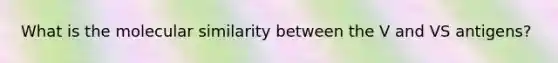 What is the molecular similarity between the V and VS antigens?