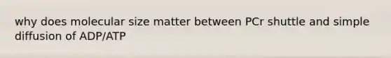 why does molecular size matter between PCr shuttle and simple diffusion of ADP/ATP