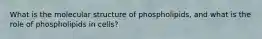 What is the molecular structure of phospholipids, and what is the role of phospholipids in cells?