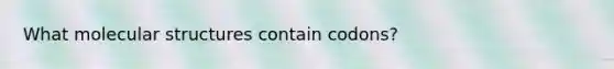 What molecular structures contain codons?