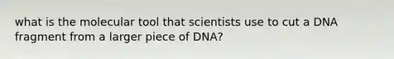 what is the molecular tool that scientists use to cut a DNA fragment from a larger piece of DNA?