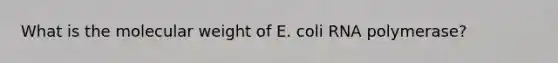 What is the molecular weight of E. coli RNA polymerase?