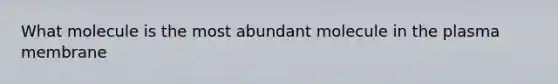 What molecule is the most abundant molecule in the plasma membrane