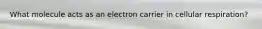 What molecule acts as an electron carrier in cellular respiration?