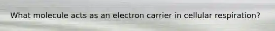 What molecule acts as an electron carrier in cellular respiration?