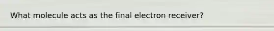 What molecule acts as the final electron receiver?