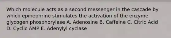 Which molecule acts as a second messenger in the cascade by which epinephrine stimulates the activation of the enzyme glycogen phosphorylase A. Adenosine B. Caffeine C. Citric Acid D. Cyclic AMP E. Adenylyl cyclase