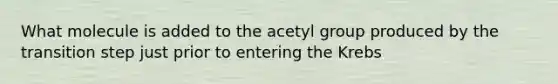 What molecule is added to the acetyl group produced by the transition step just prior to entering the Krebs