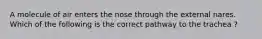 A molecule of air enters the nose through the external nares. Which of the following is the correct pathway to the trachea ?