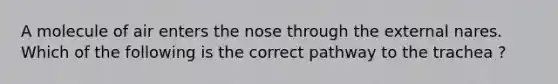 A molecule of air enters the nose through the external nares. Which of the following is the correct pathway to the trachea ?