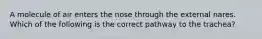 A molecule of air enters the nose through the external nares. Which of the following is the correct pathway to the trachea?