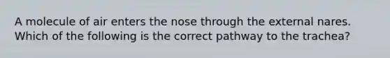 A molecule of air enters the nose through the external nares. Which of the following is the correct pathway to the trachea?