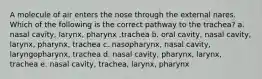 A molecule of air enters the nose through the external nares. Which of the following is the correct pathway to the trachea? a. nasal cavity, larynx, pharynx ,trachea b. oral cavity, nasal cavity, larynx, pharynx, trachea c. nasopharynx, nasal cavity, laryngopharynx, trachea d. nasal cavity, pharynx, larynx, trachea e. nasal cavity, trachea, larynx, pharynx