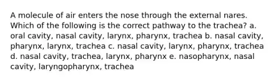 A molecule of air enters the nose through the external nares. Which of the following is the correct pathway to the trachea? a. oral cavity, nasal cavity, larynx, pharynx, trachea b. nasal cavity, pharynx, larynx, trachea c. nasal cavity, larynx, pharynx, trachea d. nasal cavity, trachea, larynx, pharynx e. nasopharynx, nasal cavity, laryngopharynx, trachea