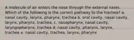 A molecule of air enters the nose through the external nares. Which of the following is the correct pathway to the trachea? a. nasal cavity, larynx, pharynx, trachea b. oral cavity, nasal cavity, larynx, pharynx, trachea, c. nasopharynx, nasal cavity, laryngopharynx, trachea d. nasal cavity, pharynx, larynx, trachea e. nasal cavity, trachea, larynx, pharynx