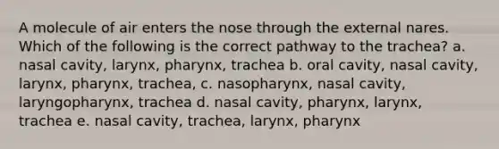 A molecule of air enters the nose through the external nares. Which of the following is the correct pathway to the trachea? a. nasal cavity, larynx, pharynx, trachea b. oral cavity, nasal cavity, larynx, pharynx, trachea, c. nasopharynx, nasal cavity, laryngopharynx, trachea d. nasal cavity, pharynx, larynx, trachea e. nasal cavity, trachea, larynx, pharynx