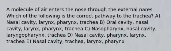 A molecule of air enters the nose through the external nares. Which of the following is the correct pathway to the trachea? A) Nasal cavity, larynx, pharynx, trachea B) Oral cavity, nasal cavity, larynx, pharynx, trachea C) Nasopharynx, nasal cavity, laryngopharynx, trachea D) Nasal cavity, pharynx, larynx, trachea E) Nasal cavity, trachea, larynx, pharynx