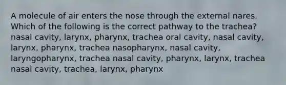 A molecule of air enters the nose through the external nares. Which of the following is the correct pathway to the trachea? nasal cavity, larynx, pharynx, trachea oral cavity, nasal cavity, larynx, pharynx, trachea nasopharynx, nasal cavity, laryngopharynx, trachea nasal cavity, pharynx, larynx, trachea nasal cavity, trachea, larynx, pharynx