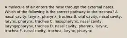 A molecule of air enters the nose through the external nares. Which of the following is the correct pathway to the trachea? A. nasal cavity, larynx, pharynx, trachea B. oral cavity, nasal cavity, larynx, pharynx, trachea C. nasopharynx, nasal cavity, laryngopharynx, trachea D. nasal cavity, pharynx, larynx, trachea E. nasal cavity, trachea, larynx, pharynx