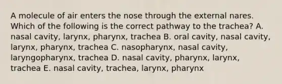 A molecule of air enters the nose through the external nares. Which of the following is the correct pathway to the trachea? A. nasal cavity, larynx, pharynx, trachea B. oral cavity, nasal cavity, larynx, pharynx, trachea C. nasopharynx, nasal cavity, laryngopharynx, trachea D. nasal cavity, pharynx, larynx, trachea E. nasal cavity, trachea, larynx, pharynx