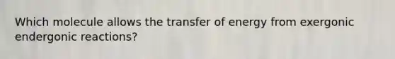 Which molecule allows the transfer of energy from exergonic endergonic reactions?