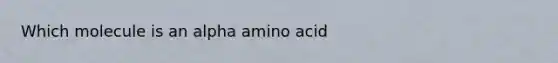 Which molecule is an alpha amino acid