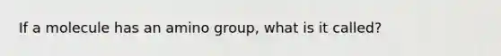 If a molecule has an amino group, what is it called?