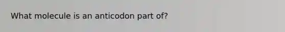 What molecule is an anticodon part of?