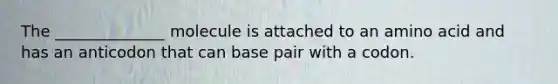 The ______________ molecule is attached to an amino acid and has an anticodon that can base pair with a codon.