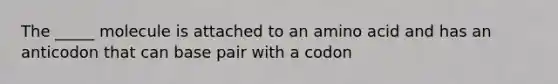 The _____ molecule is attached to an amino acid and has an anticodon that can base pair with a codon