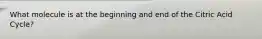 What molecule is at the beginning and end of the Citric Acid Cycle?