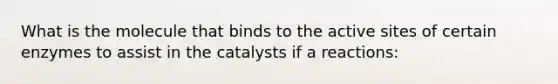 What is the molecule that binds to the active sites of certain enzymes to assist in the catalysts if a reactions: