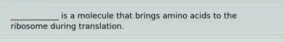 ____________ is a molecule that brings amino acids to the ribosome during translation.