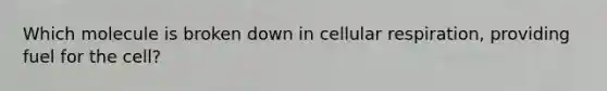 Which molecule is broken down in <a href='https://www.questionai.com/knowledge/k1IqNYBAJw-cellular-respiration' class='anchor-knowledge'>cellular respiration</a>, providing fuel for the cell?