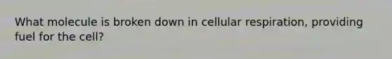 What molecule is broken down in <a href='https://www.questionai.com/knowledge/k1IqNYBAJw-cellular-respiration' class='anchor-knowledge'>cellular respiration</a>, providing fuel for the cell?