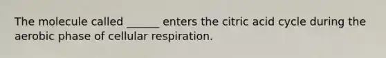 The molecule called ______ enters the citric acid cycle during the aerobic phase of cellular respiration.