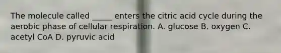 The molecule called _____ enters the citric acid cycle during the aerobic phase of cellular respiration. A. glucose B. oxygen C. acetyl CoA D. pyruvic acid