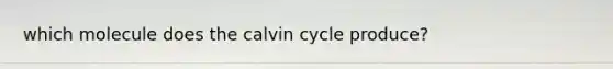 which molecule does the calvin cycle produce?