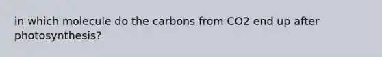 in which molecule do the carbons from CO2 end up after photosynthesis?