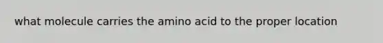 what molecule carries the amino acid to the proper location