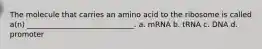The molecule that carries an amino acid to the ribosome is called a(n) _____________________________. a. mRNA b. tRNA c. DNA d. promoter