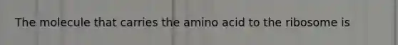 The molecule that carries the amino acid to the ribosome is