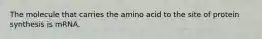 The molecule that carries the amino acid to the site of protein synthesis is mRNA.