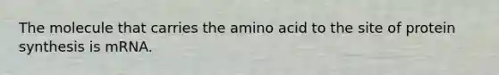 The molecule that carries the amino acid to the site of protein synthesis is mRNA.